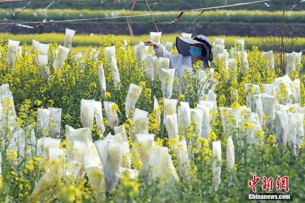 衛(wèi)報：沒有跡象表明格伊會罷賽，但他在考慮是否繼續(xù)擔任隊長