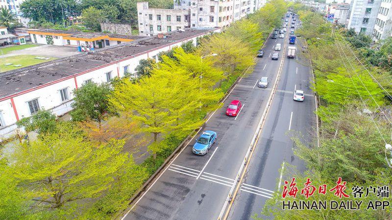 ACCD雅思要求：助力你邁入世界頂尖設計學院