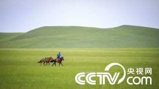 蕨菜怎么保存到下半年