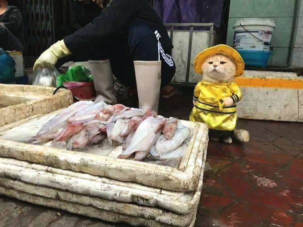 寧德職教園校園直通車開通