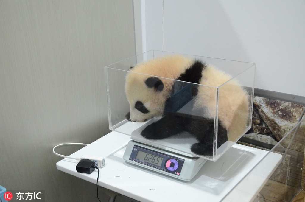 純牛奶保質期一年正常嗎
