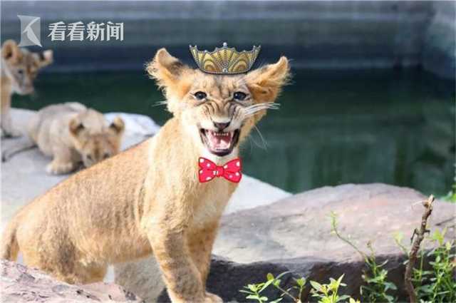2024年服貿會達成近千項成果