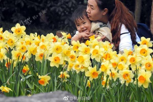 凈投入超2.6億利物浦今夏賣8人收入近2.2億，引援投入超4.8億