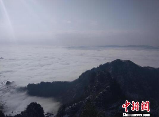 離開曼聯之后：查理·薩維奇的向前一步