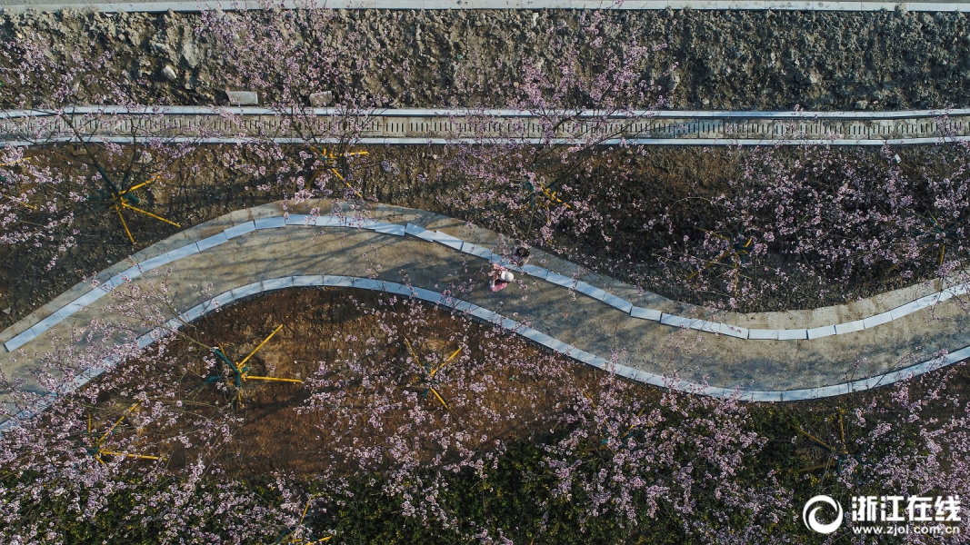 羅馬諾：利物浦3500萬鎊+10%二轉求購格伊，并認為能簽伊薩克