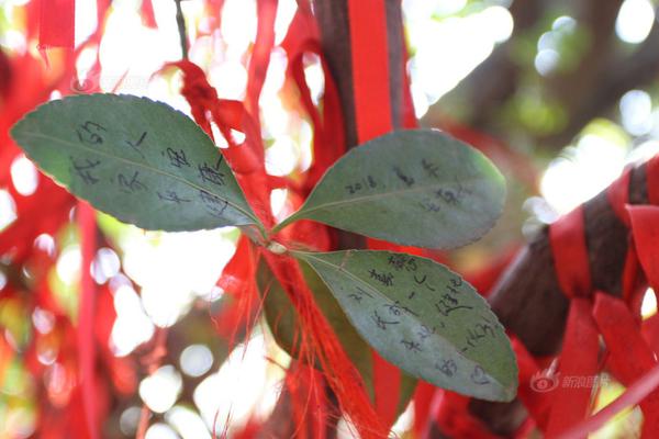 記者：阿莫林認(rèn)為球隊(duì)成績不好不是戰(zhàn)術(shù)的問題，他也無意離開曼聯(lián)