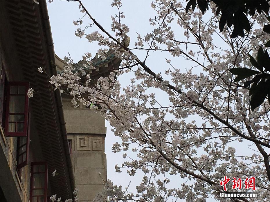 一日英超動向：曼聯這筆轉會的確是虧大了，阿森納賣人怎么這么難