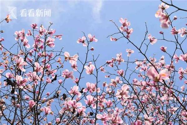 銀河系中間亮的是什么