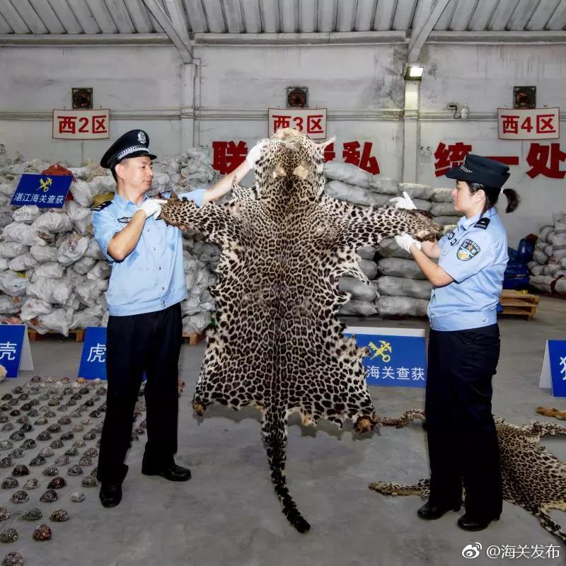 都在搶獨(dú)家！伊薩克轉(zhuǎn)會(huì)即將敲定，外媒兩大記者社媒互懟