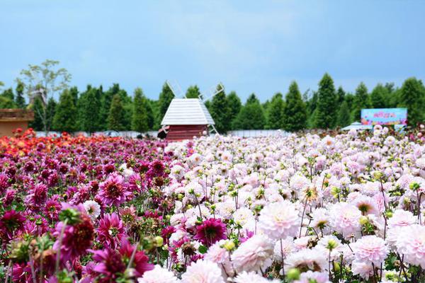 曼聯(lián)9號正式回歸意甲，輔助衛(wèi)冕冠軍主帥：找回自己極佳機(jī)會