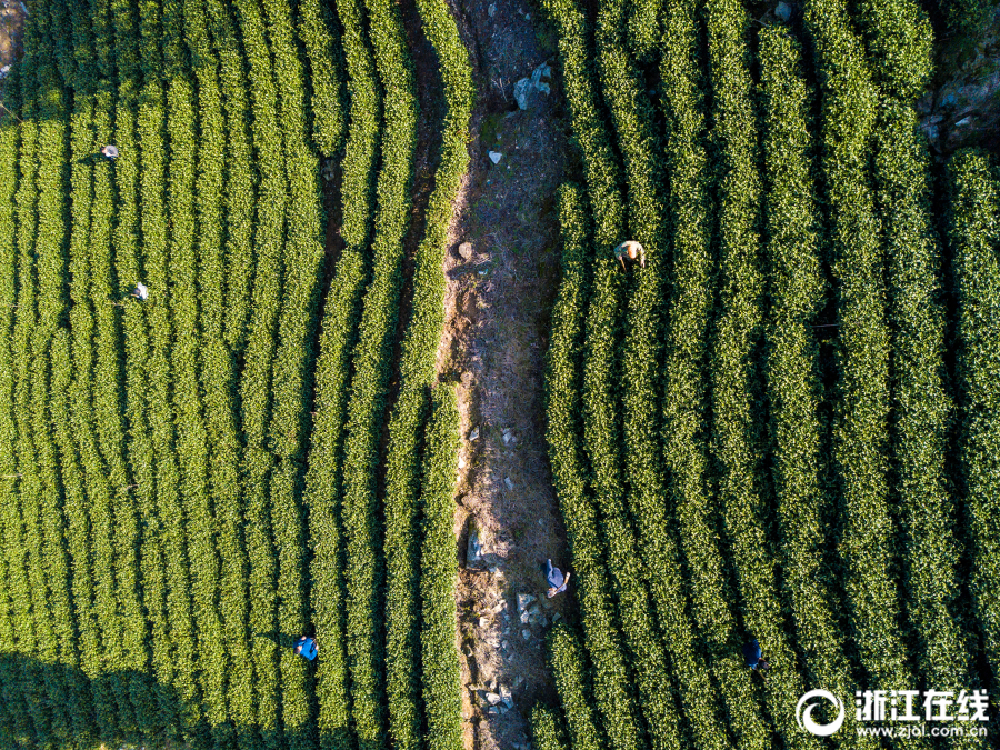 美國MFA藝術(shù)碩士：申請(qǐng)指南與院校推薦