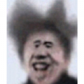 藥材桔梗是什么樣的