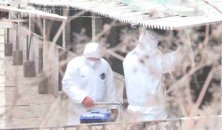 官方：諾丁漢森林簽下博塔弗戈后衛庫亞巴諾，轉會費600萬歐