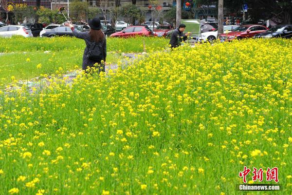 煤炭市場只要扛過下周，就能迎來“艷陽天”