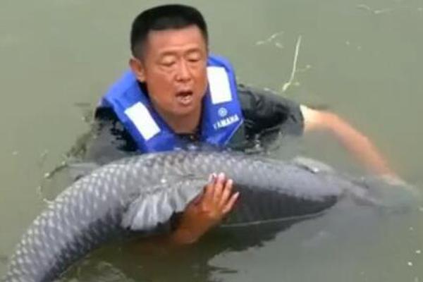 世預賽對陣塞爾維亞破門，馬杜埃凱攻入英格蘭隊生涯首球