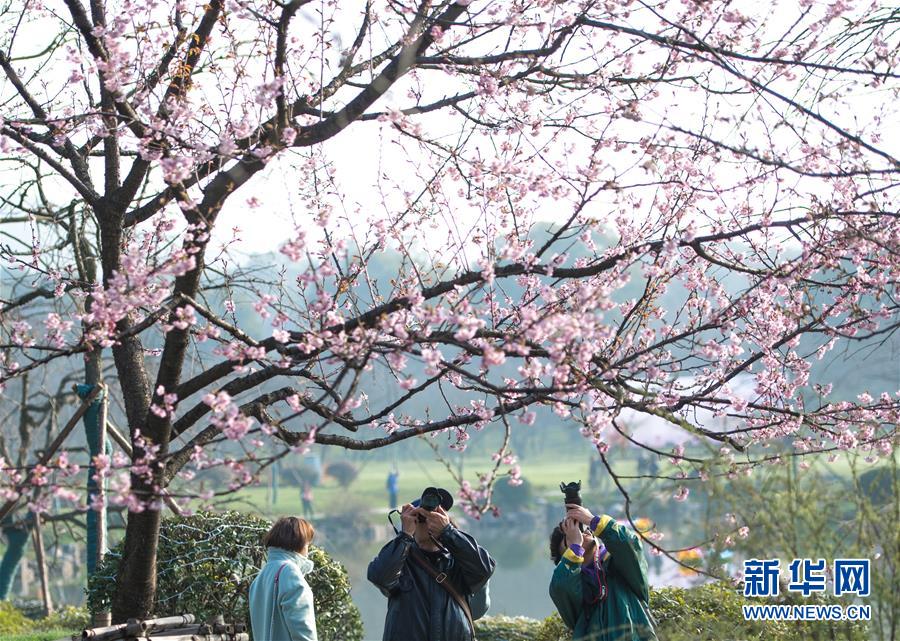 凱恩：很高興能再次為英格蘭出戰，在世預賽中邁出了積極一步